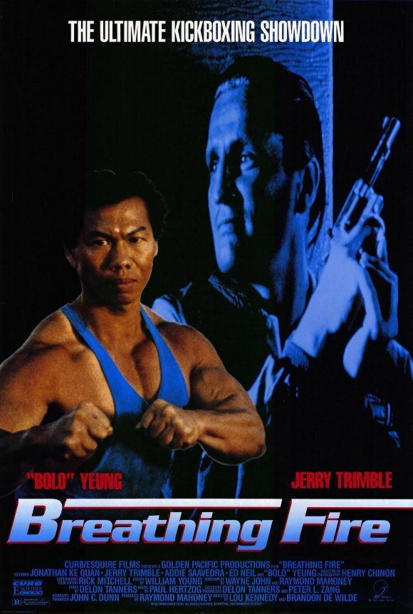 Огнедышащий (1991) постер
