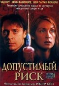 Допустимый риск (2001) постер