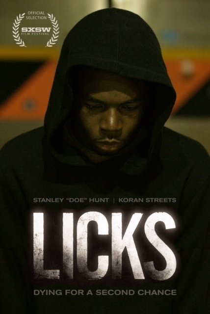 Licks (2013) постер
