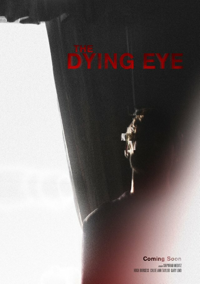 The Dying Eye (2013) постер