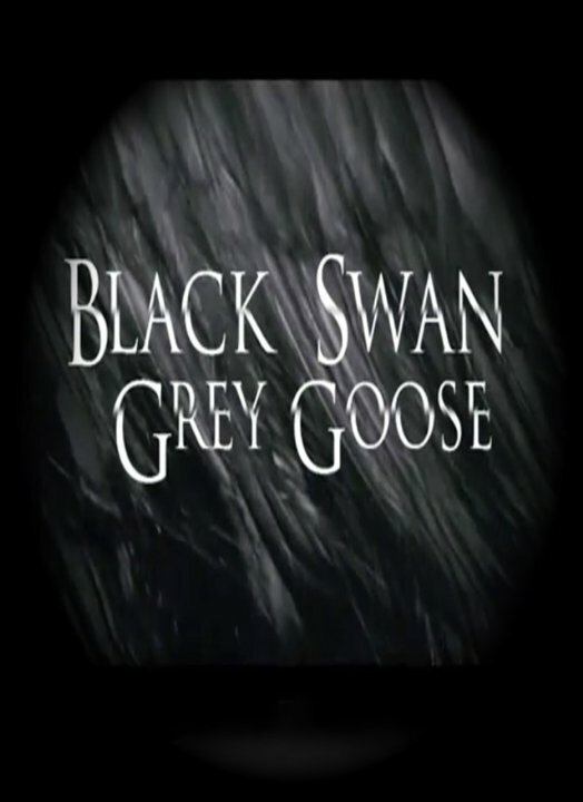 Чёрный лебедь, серый гусь (2011) постер